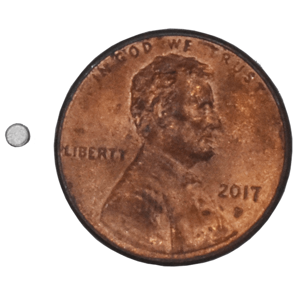 SuperMagnetMan Neodymium Disc Magnet.  Used as medical magnets, holding magnets, sensor magnets, consumer electronics magnets.  These small magnets are strong rare earth neodymium magnets also used as automotive magnets.