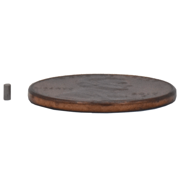 Neodymium Magnets SuperMagnetMan Neodymium Cylinder Magnet.  Used as medical magnets, holding magnets, sensor magnets, consumer electronics magnets.  These cylinder magnets are strong rare earth neodymium magnets also used as automotive magnets.